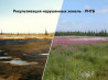 Рекультивация земель