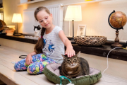 День рождения в котокафе 