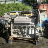 Контрактный двигатель б/у Cummins KTA19
